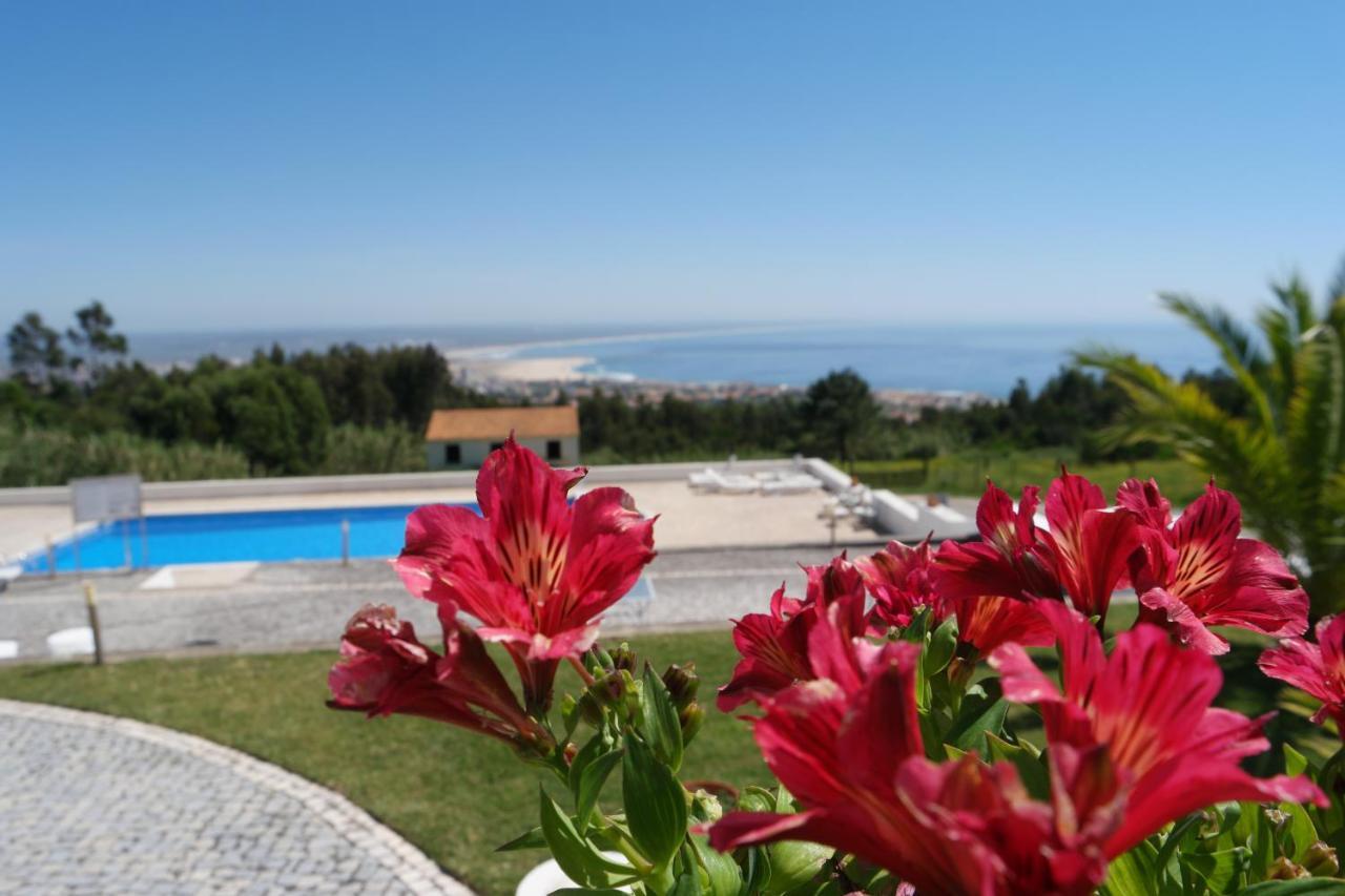 Casa Pinha Hotel Figueira da Foz Luaran gambar